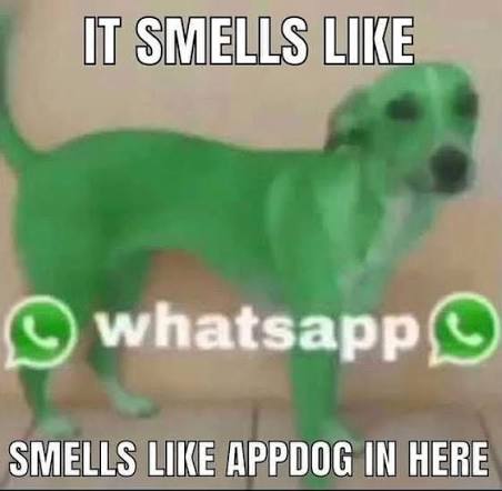 The green dog with captions: it smells like whatsapp, smells like appdog in here